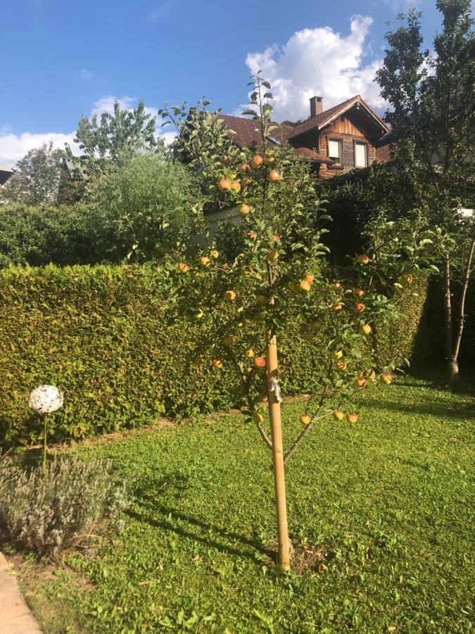 Auszeit Im Allgaeu Sonthofen Exterior photo